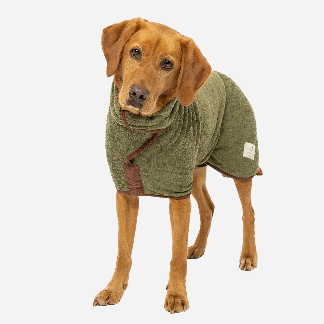 Dog drying coat Moss